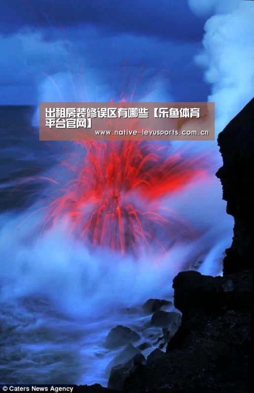 乐鱼体育平台官网